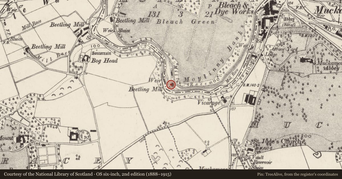 Ordnance Survey six-inch map, 2nd edition (1888–1915) covering the location of Water-wheel at Moylinny, Antrim and Newtownabbey, with a pin at the register's coordinates
