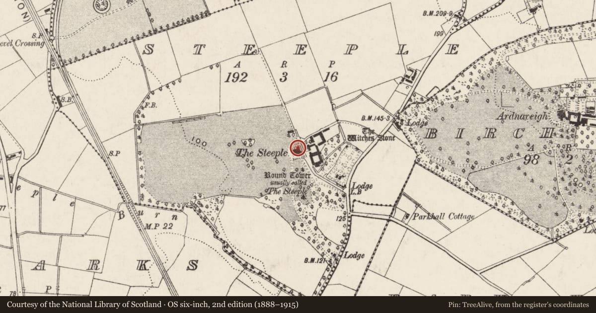 Ordnance Survey six-inch map, 2nd edition (1888–1915) covering the location of The Steeple, Antrim and Newtownabbey, with a pin at the register's coordinates