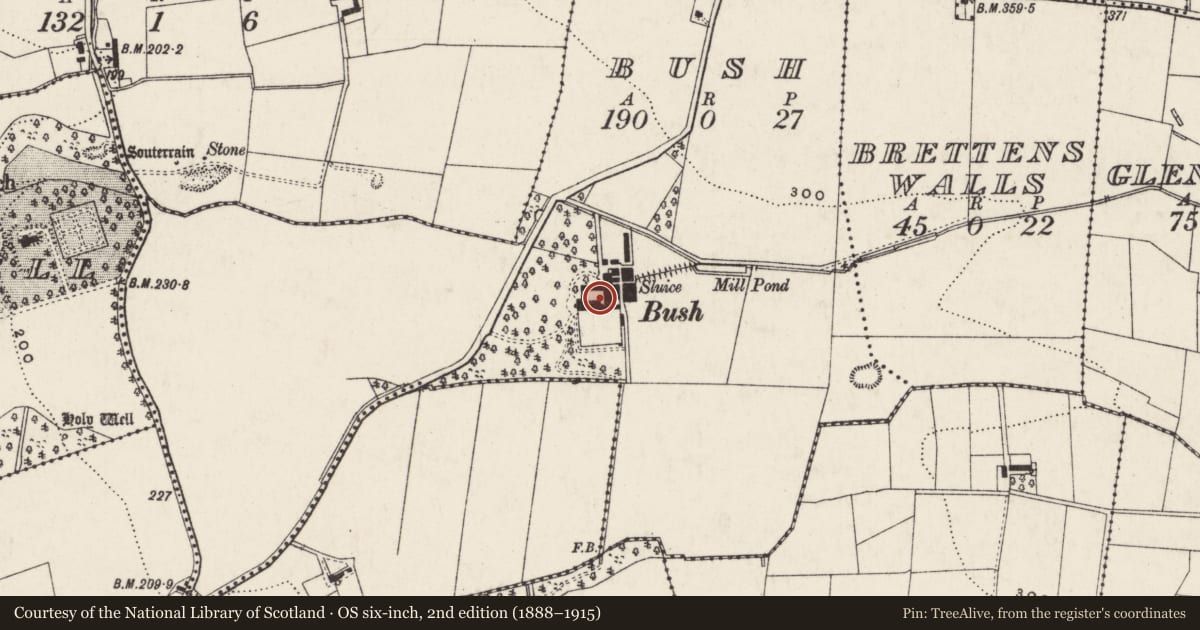 Ordnance Survey six-inch map, 2nd edition (1888–1915) covering the location of Bush House, Antrim and Newtownabbey, with a pin at the register's coordinates