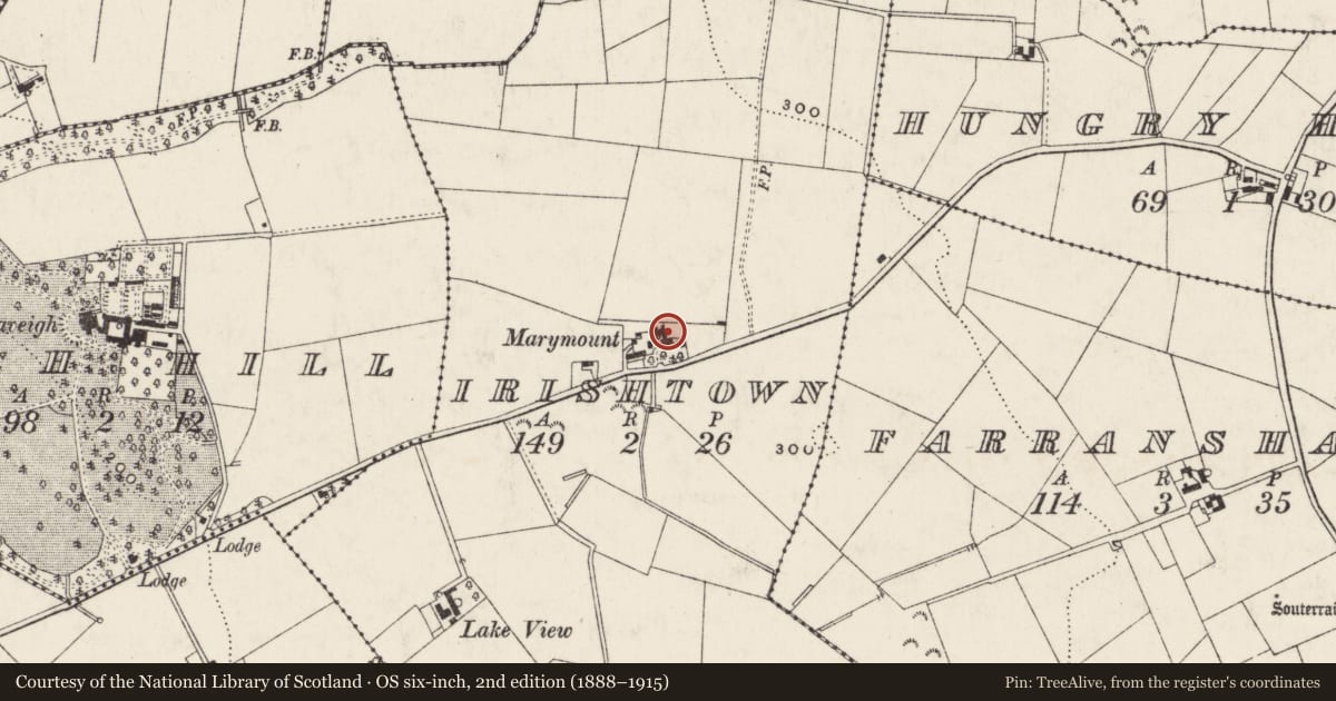 Ordnance Survey six-inch map, 2nd edition (1888–1915) covering the location of Marymount, Irishtown, Antrim and Newtownabbey, with a pin at the register's coordinates