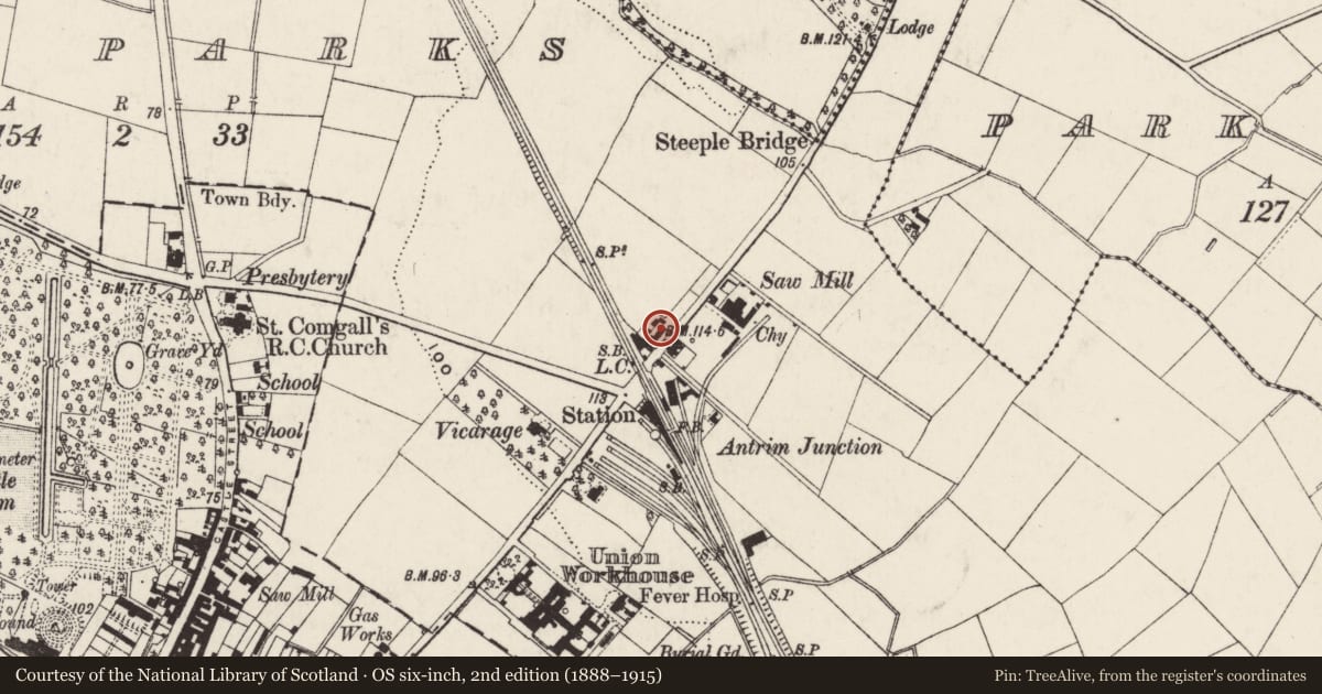 Ordnance Survey six-inch map, 2nd edition (1888–1915) covering the location of 2 Steeple Road, Antrim, Co Antrim BT41 1AF, Town Parks, Antrim and Newtownabbey, with a pin at the register's coordinates