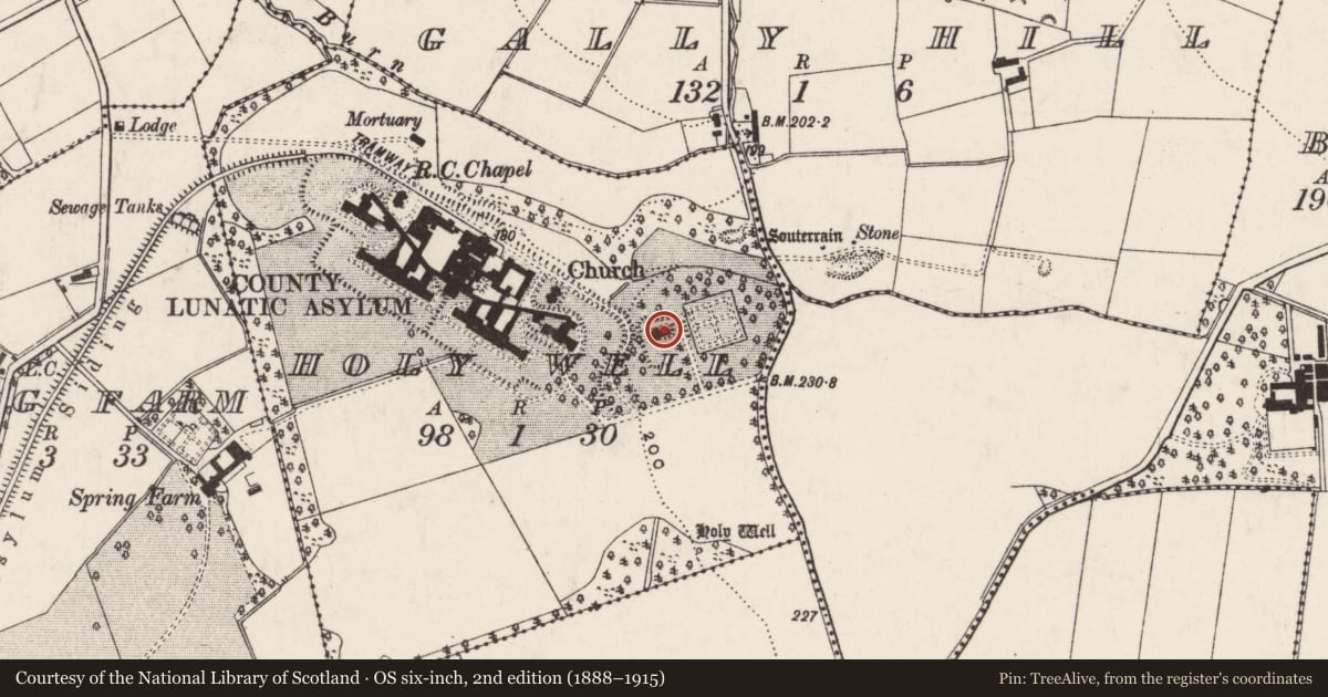 Ordnance Survey six-inch map, 2nd edition (1888–1915) covering the location of Holywell House, Holy Well, Antrim and Newtownabbey, with a pin at the register's coordinates