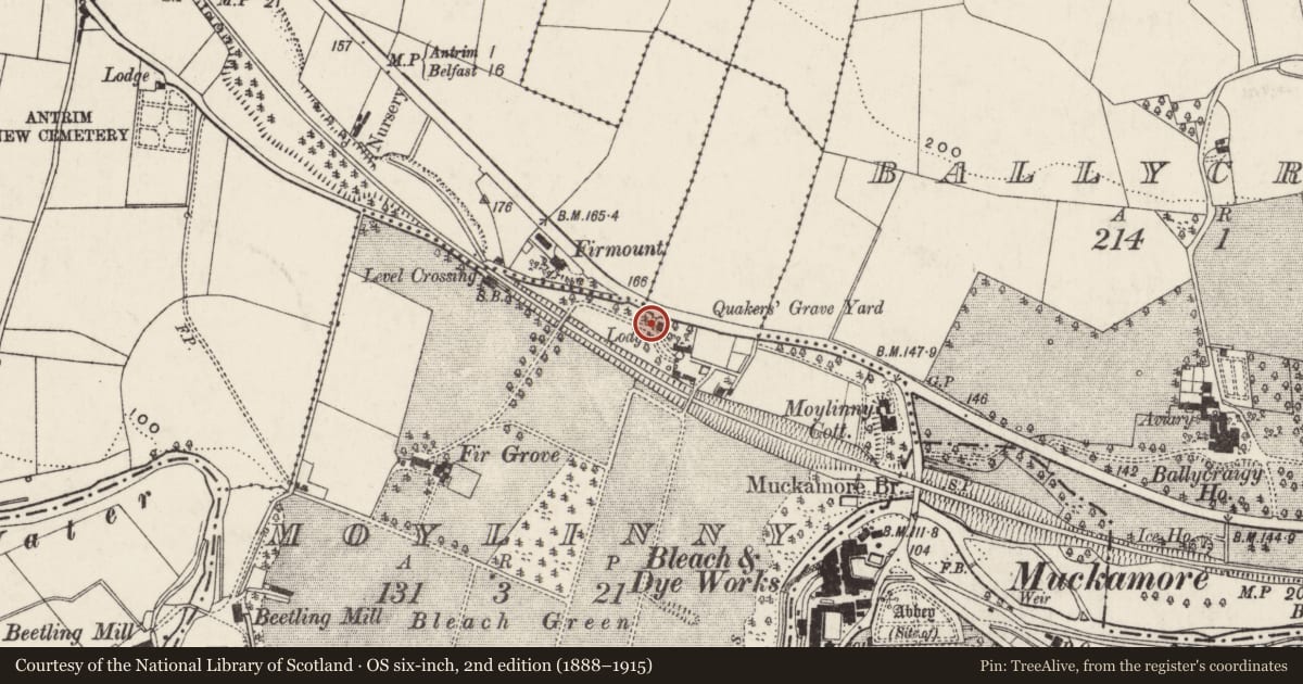 Ordnance Survey six-inch map, 2nd edition (1888–1915) covering the location of Lodge at Fir Grove, Moylinny, Antrim and Newtownabbey, with a pin at the register's coordinates