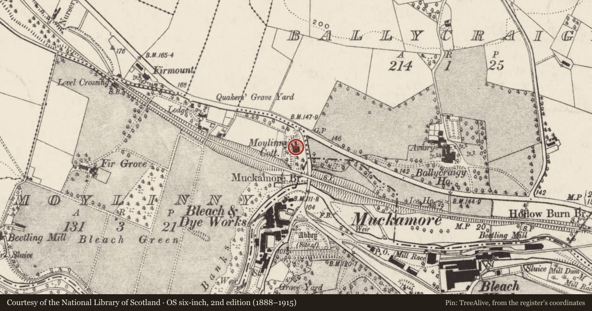 Ordnance Survey six-inch map, 2nd edition (1888–1915) covering the location of Moylena, Moylinny, Antrim and Newtownabbey, with a pin at the register's coordinates
