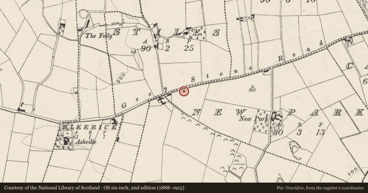 Ordnance Survey six-inch map, 2nd edition (1888–1915) covering the location of Greystone Road Presbyterian Church, New Park, Antrim and Newtownabbey, with a pin at the register's coordinates