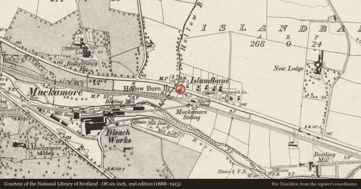 Ordnance Survey six-inch map, 2nd edition (1888–1915) covering the location of 125 Belfast Road, Muckamore, Antrim and Newtownabbey, with a pin at the register's coordinates