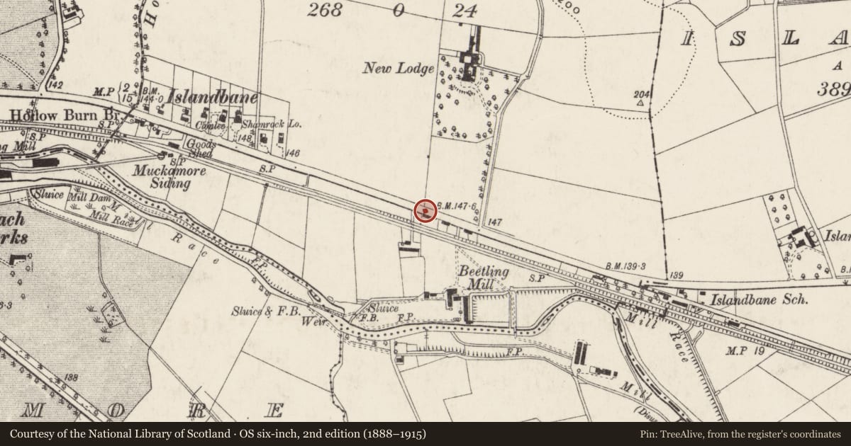 Ordnance Survey six-inch map, 2nd edition (1888–1915) covering the location of 163 Belfast Road, Islandbane, Antrim and Newtownabbey, with a pin at the register's coordinates