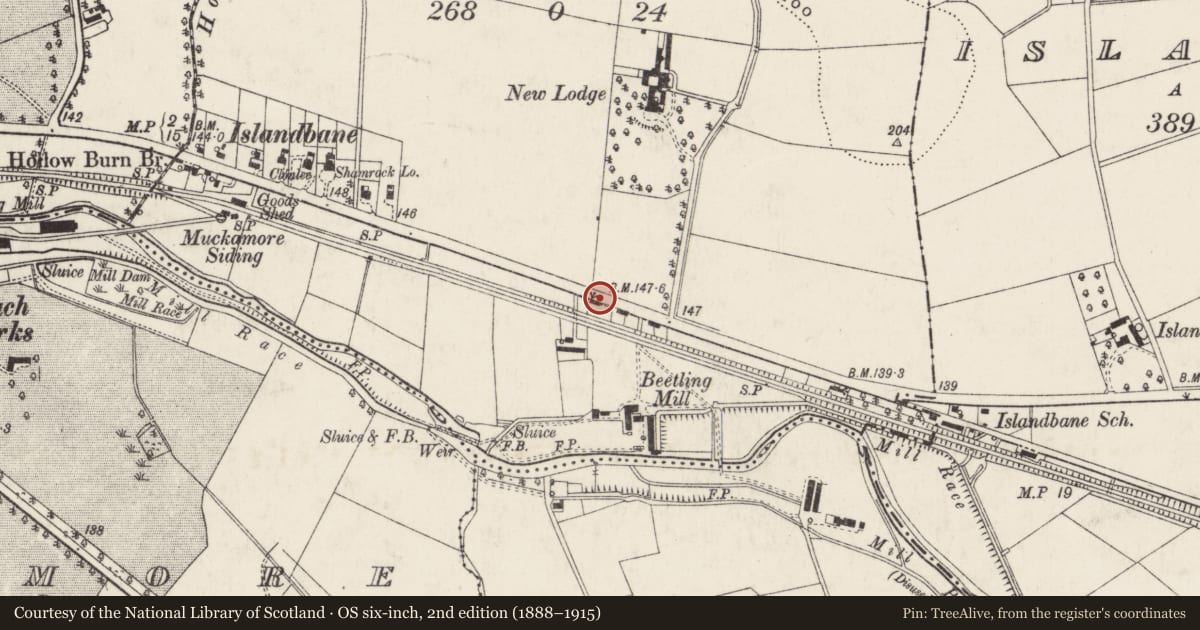 Ordnance Survey six-inch map, 2nd edition (1888–1915) covering the location of 165 Belfast Road, Islandbane, Antrim and Newtownabbey, with a pin at the register's coordinates
