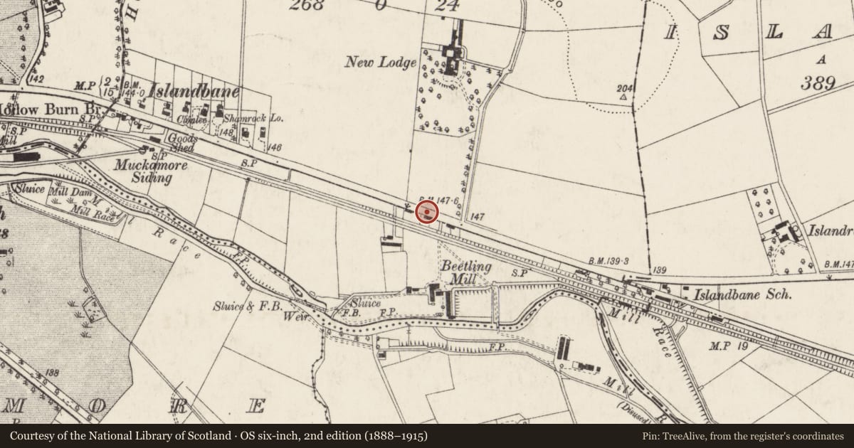 Ordnance Survey six-inch map, 2nd edition (1888–1915) covering the location of 167 Belfast Road, Islandbane, Antrim and Newtownabbey, with a pin at the register's coordinates