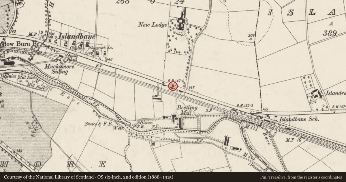 Ordnance Survey six-inch map, 2nd edition (1888–1915) covering the location of 169 Belfast Road, Islandbane, Antrim and Newtownabbey, with a pin at the register's coordinates