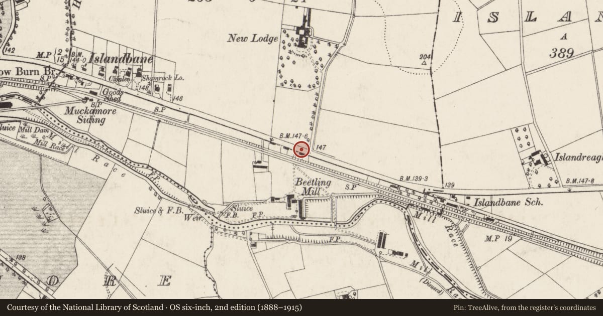Ordnance Survey six-inch map, 2nd edition (1888–1915) covering the location of 171 Belfast Road, Islandbane, Antrim and Newtownabbey, with a pin at the register's coordinates
