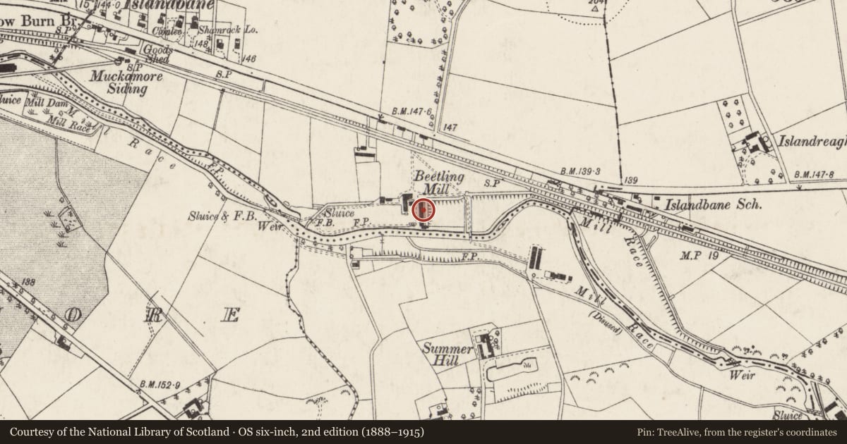 Ordnance Survey six-inch map, 2nd edition (1888–1915) covering the location of Former Flax Spinning Factory, Antrim and Newtownabbey, with a pin at the register's coordinates