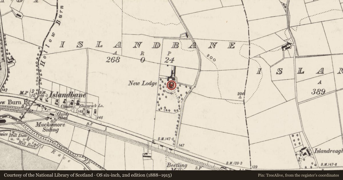 Ordnance Survey six-inch map, 2nd edition (1888–1915) covering the location of Ballybrophy House, Antrim and Newtownabbey, with a pin at the register's coordinates