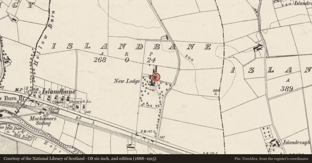 Ordnance Survey six-inch map, 2nd edition (1888–1915) covering the location of Stable Gateway, Antrim and Newtownabbey, with a pin at the register's coordinates