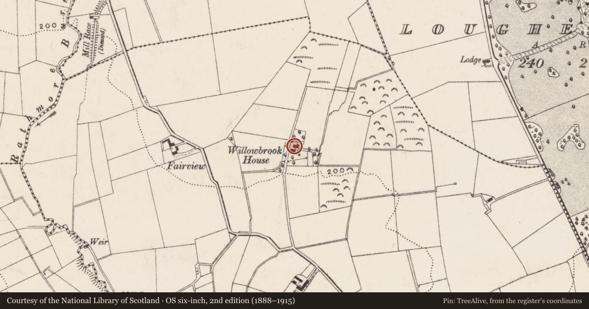 Ordnance Survey six-inch map, 2nd edition (1888–1915) covering the location of Willowbrook House, Dunadry, Antrim and Newtownabbey, with a pin at the register's coordinates