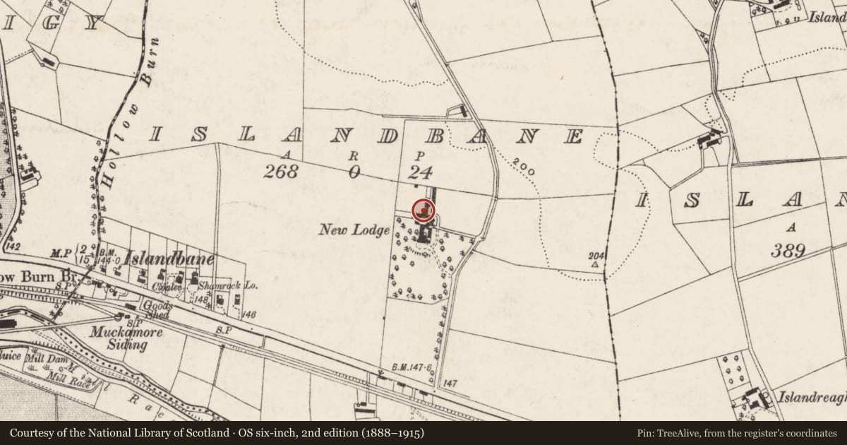 Ordnance Survey six-inch map, 2nd edition (1888–1915) covering the location of OUTBUILDINGS, Islandbane, Antrim and Newtownabbey, with a pin at the register's coordinates