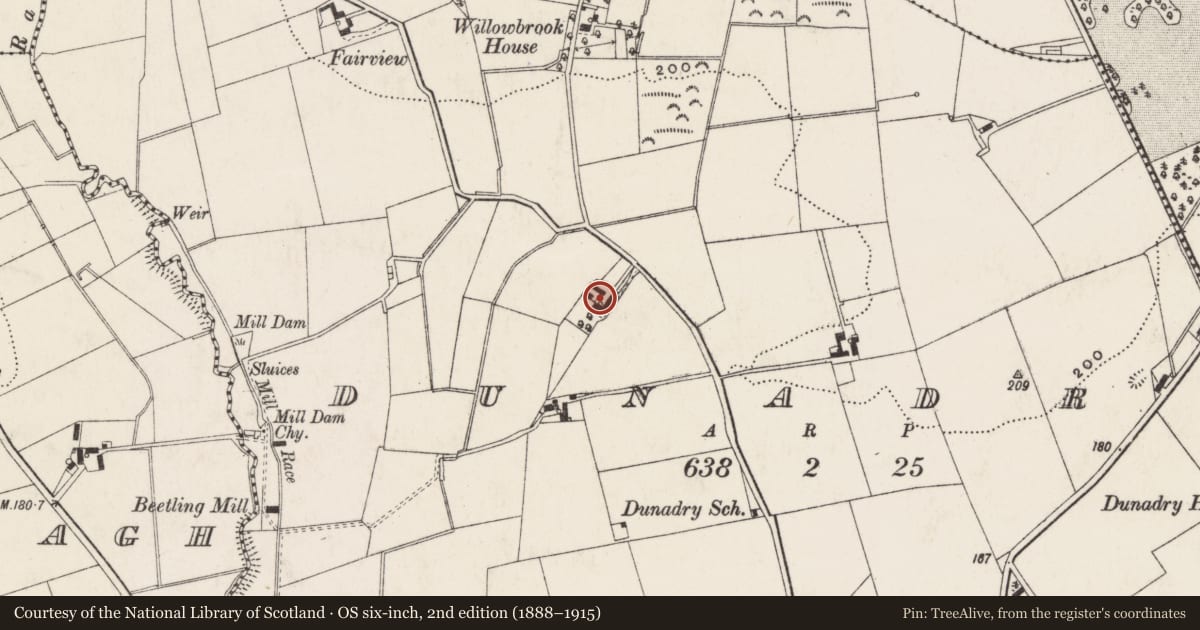 Ordnance Survey six-inch map, 2nd edition (1888–1915) covering the location of Beechvale, Antrim and Newtownabbey, with a pin at the register's coordinates