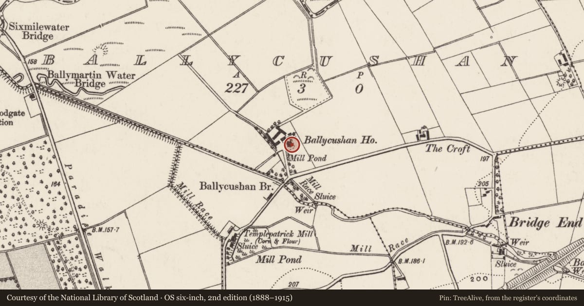 Ordnance Survey six-inch map, 2nd edition (1888–1915) covering the location of Ballycushan House, Cloghanduff, Antrim and Newtownabbey, with a pin at the register's coordinates