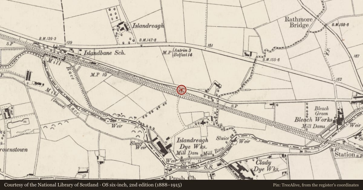 Ordnance Survey six-inch map, 2nd edition (1888–1915) covering the location of Bridge, Islandreagh, Antrim and Newtownabbey, with a pin at the register's coordinates