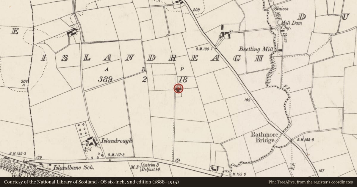 Ordnance Survey six-inch map, 2nd edition (1888–1915) covering the location of Islandreagh Cottage, Antrim and Newtownabbey, with a pin at the register's coordinates