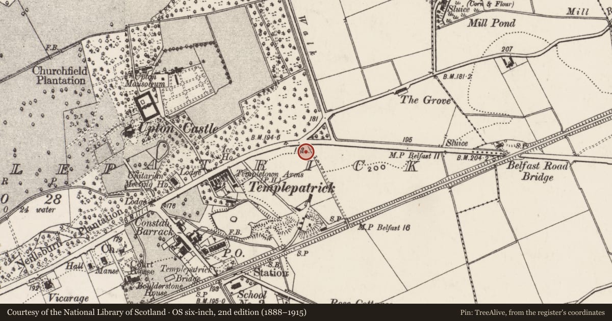 Ordnance Survey six-inch map, 2nd edition (1888–1915) covering the location of The Orange Hall, Templepatrick, Antrim and Newtownabbey, with a pin at the register's coordinates