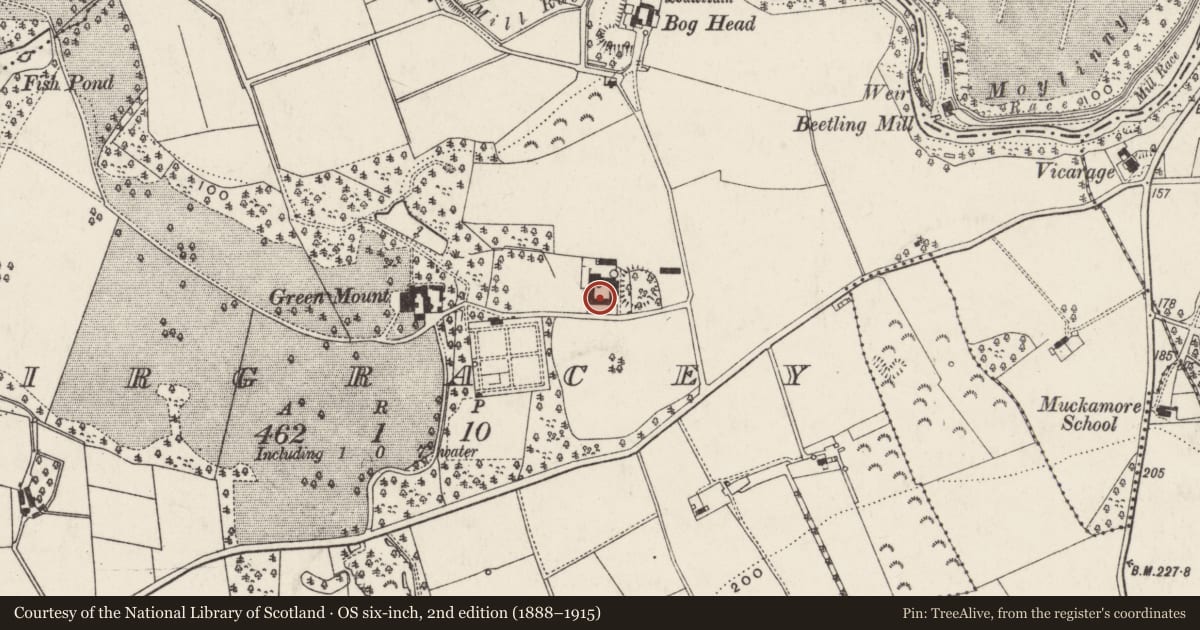 Ordnance Survey six-inch map, 2nd edition (1888–1915) covering the location of The Stables, Tirgracey, Antrim and Newtownabbey, with a pin at the register's coordinates