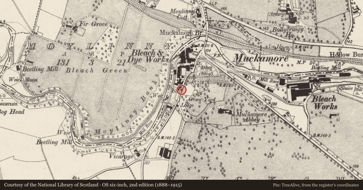 Ordnance Survey six-inch map, 2nd edition (1888–1915) covering the location of Entrance and wall of graveyard, Muckamore, Antrim and Newtownabbey, with a pin at the register's coordinates