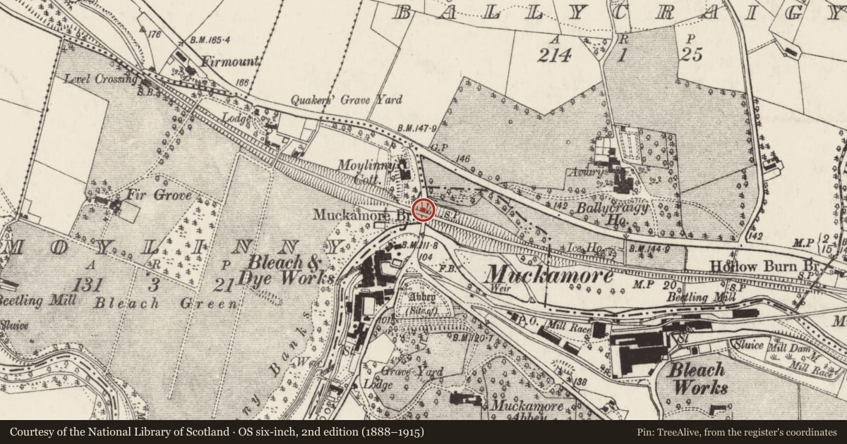 Ordnance Survey six-inch map, 2nd edition (1888–1915) covering the location of Railway Bridge, carrying railway over, Muckamore, Antrim and Newtownabbey, with a pin at the register's coordinates