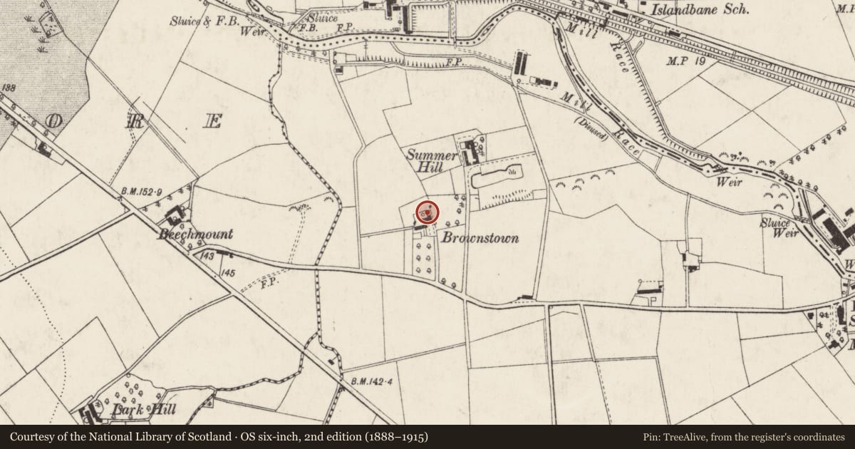 Ordnance Survey six-inch map, 2nd edition (1888–1915) covering the location of Summerseat, Shaneoguestown, Antrim and Newtownabbey, with a pin at the register's coordinates