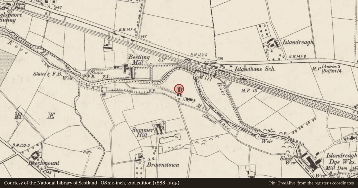 Ordnance Survey six-inch map, 2nd edition (1888–1915) covering the location of 86 Summerhill, Shaneoguestown, Antrim and Newtownabbey, with a pin at the register's coordinates