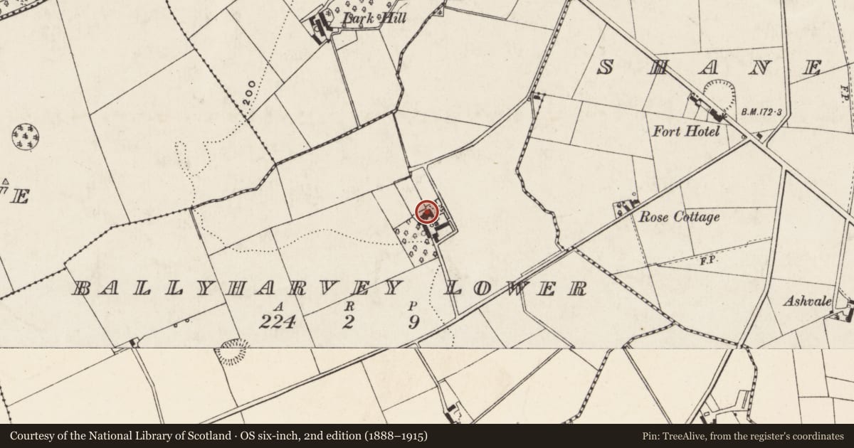 Ordnance Survey six-inch map, 2nd edition (1888–1915) covering the location of 16 Ballyharvey Road, Ballyharvey Lower, Antrim and Newtownabbey, with a pin at the register's coordinates