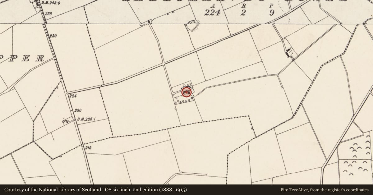 Ordnance Survey six-inch map, 2nd edition (1888–1915) covering the location of 9 Ballyharvey Road, Ballyharvey Lower, Antrim and Newtownabbey, with a pin at the register's coordinates