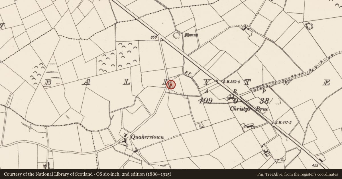 Ordnance Survey six-inch map, 2nd edition (1888–1915) covering the location of Outbuildings, Ballytweedy, Antrim and Newtownabbey, with a pin at the register's coordinates