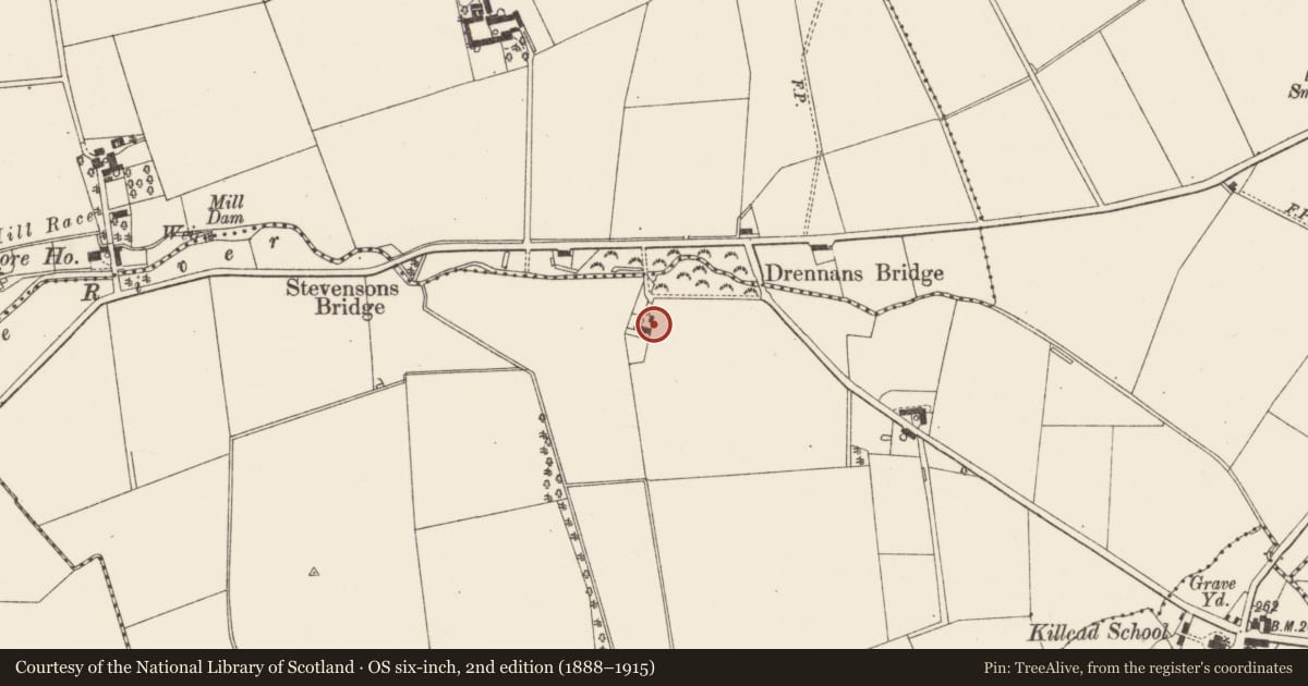 Ordnance Survey six-inch map, 2nd edition (1888–1915) covering the location of 144 Ballyrobin Road, Killealy, Antrim and Newtownabbey, with a pin at the register's coordinates