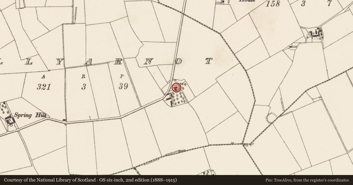 Ordnance Survey six-inch map, 2nd edition (1888–1915) covering the location of 15 Ballyarnott Road, Antrim and Newtownabbey, with a pin at the register's coordinates