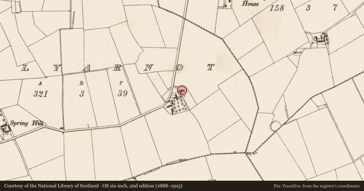 Ordnance Survey six-inch map, 2nd edition (1888–1915) covering the location of 17 Ballyarnott Road, Antrim and Newtownabbey, with a pin at the register's coordinates