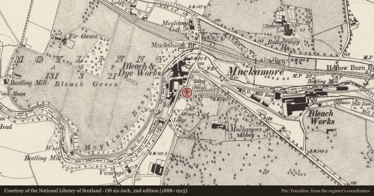 Ordnance Survey six-inch map, 2nd edition (1888–1915) covering the location of Vault at Muckamore House, Antrim and Newtownabbey, with a pin at the register's coordinates