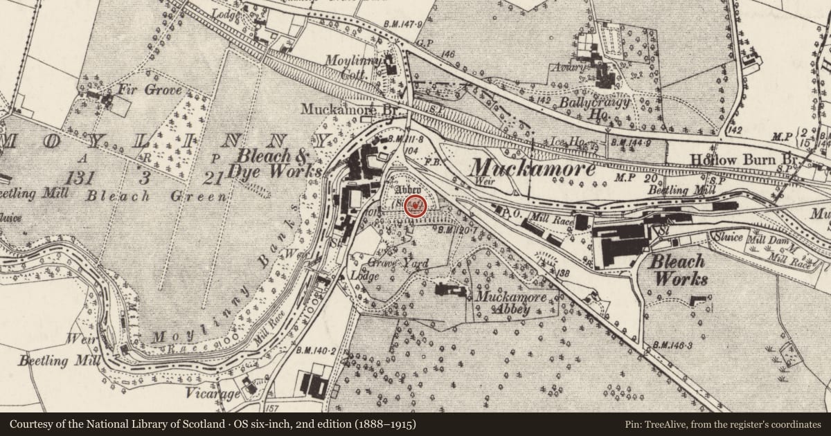 Ordnance Survey six-inch map, 2nd edition (1888–1915) covering the location of Walled Garden, corner of Oldstone Road and Seven Mile Straight, Muckamore, Antrim and Newtownabbey, with a pin at the register's coordinates