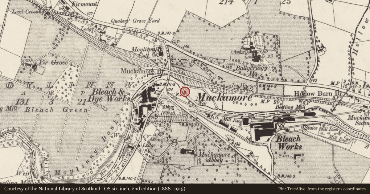 Ordnance Survey six-inch map, 2nd edition (1888–1915) covering the location of Iron footbridge, over the Six Mile Water, south-east of Muckamore Bridge, adjacent to Seven Mile Straight, Antrim and Newtownabbey, with a pin at the register's coordinates
