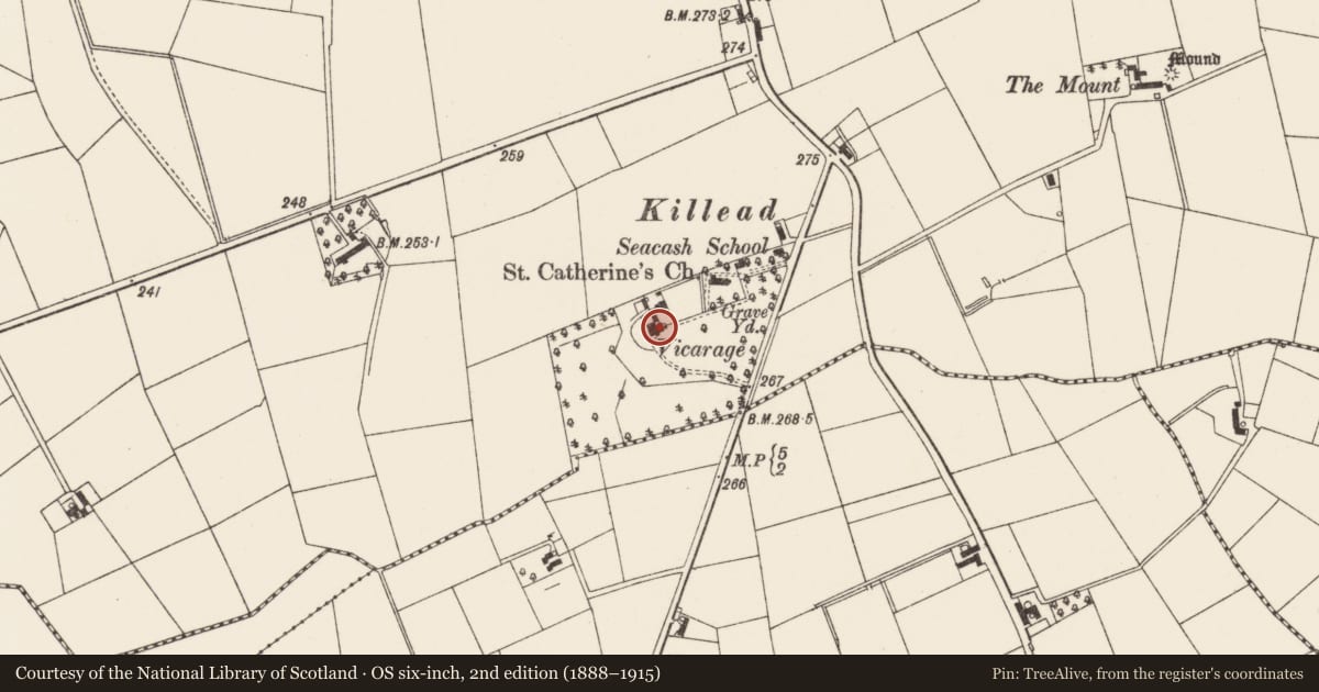 Ordnance Survey six-inch map, 2nd edition (1888–1915) covering the location of The Glebe House, Seacash, Antrim and Newtownabbey, with a pin at the register's coordinates