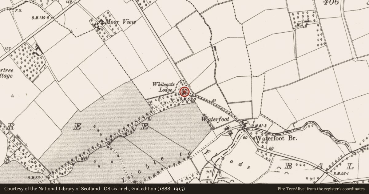 Ordnance Survey six-inch map, 2nd edition (1888–1915) covering the location of Whitegate Lodge, Gartree, Antrim and Newtownabbey, with a pin at the register's coordinates