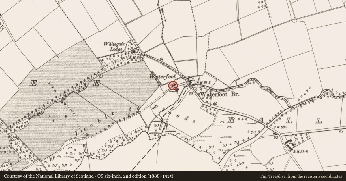 Ordnance Survey six-inch map, 2nd edition (1888–1915) covering the location of Former gamekeeper's lodge, Gartree, Antrim and Newtownabbey, with a pin at the register's coordinates