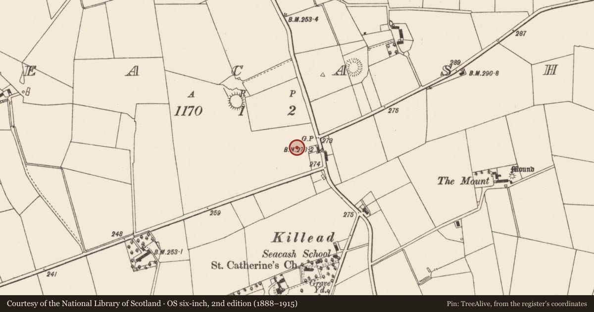 Ordnance Survey six-inch map, 2nd edition (1888–1915) covering the location of Aircraft Hangar No. 6, Seacash, Antrim and Newtownabbey, with a pin at the register's coordinates