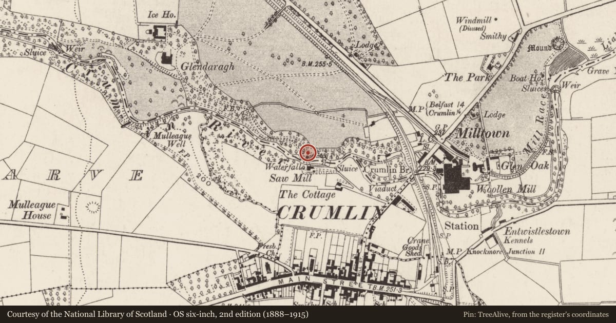 Ordnance Survey six-inch map, 2nd edition (1888–1915) covering the location of The Cockle House, Crosshill, Antrim and Newtownabbey, with a pin at the register's coordinates