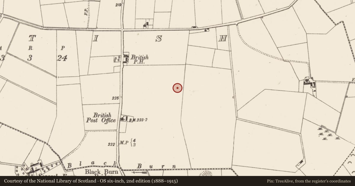 Ordnance Survey six-inch map, 2nd edition (1888–1915) covering the location of Terminal Building, British, Antrim and Newtownabbey, with a pin at the register's coordinates