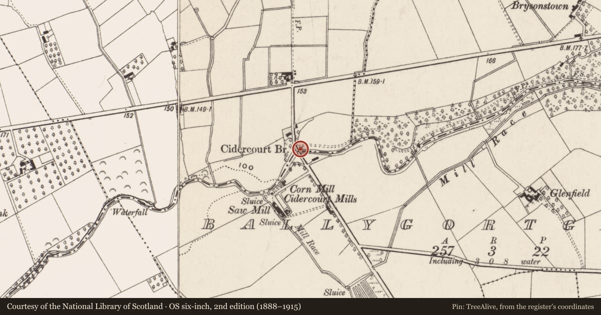 Ordnance Survey six-inch map, 2nd edition (1888–1915) covering the location of Cidercourt Bridge, Ballynadrentagh/Ballygortgarve, Antrim and Newtownabbey, with a pin at the register's coordinates