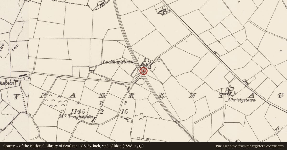 Ordnance Survey six-inch map, 2nd edition (1888–1915) covering the location of Bridge over railway, Ballynadrentagh, Antrim and Newtownabbey, with a pin at the register's coordinates