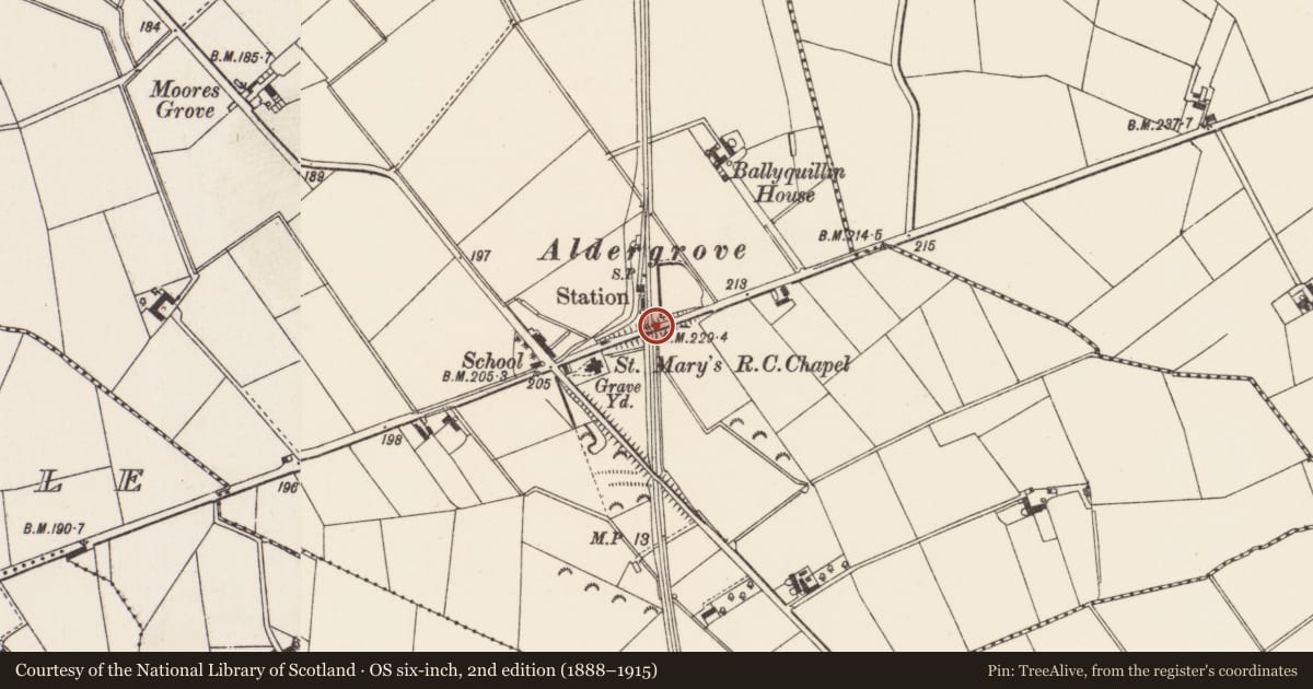 Ordnance Survey six-inch map, 2nd edition (1888–1915) covering the location of Bridge over railway, Ballyquillin, Antrim and Newtownabbey, with a pin at the register's coordinates