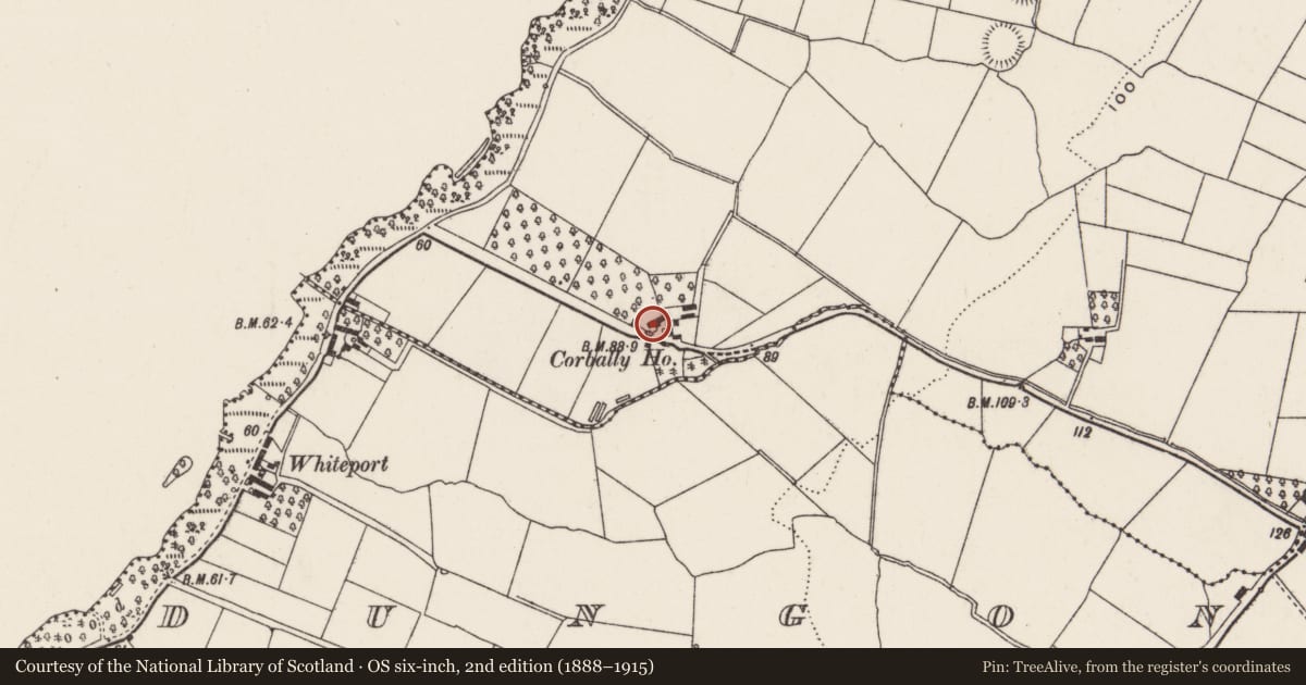 Ordnance Survey six-inch map, 2nd edition (1888–1915) covering the location of Corbally House, Antrim and Newtownabbey, with a pin at the register's coordinates