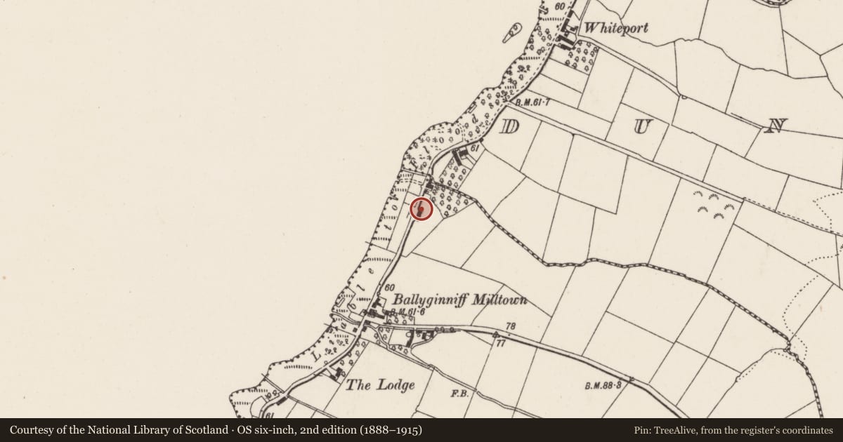 Ordnance Survey six-inch map, 2nd edition (1888–1915) covering the location of 59 Loughview Road, Ballyginniff, Antrim and Newtownabbey, with a pin at the register's coordinates